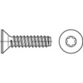 TOOLCRAFT 149898 zapustené skrutky so zápustnou hlavou 6.3 mm 16 mm T profil ocel glavanizované zinkom 500 ks; 149898