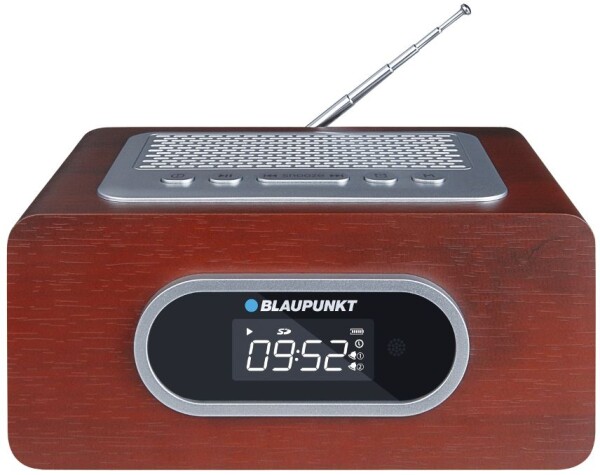 Blaupunkt PP6BR