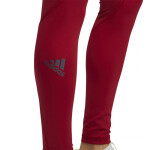 Dámske športové legíny adidas Alpha Skin LT W DX7566 XL