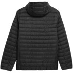 Pánska bunda 4F M240 4FAW23TDJAM240 20S