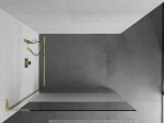 MEXEN/S - Kioto L Sprchová zástena WALK-IN 120 x 200, transparent/dekor, zlatá 800-120-103-50-35