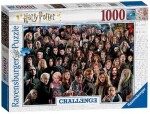 Ravensburger Harry Potter