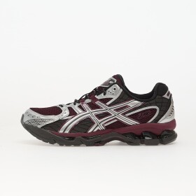 Tenisky Asics Gel-Nimbus 10.1 Beniimo Purple/ Pure Silver EUR 44.5