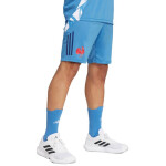 Pánske šortky adidas France Gym blue JC7182 L