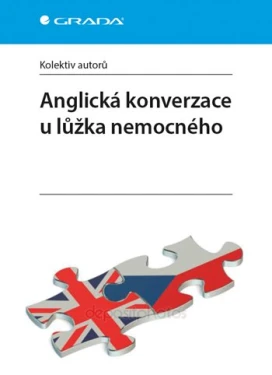 Anglická konverzace u lůžka nemocného, Kolektiv autorů