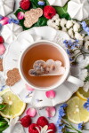TEA HERITAGE Čierny čaj s jablkom a škoricou Cloud – 5 ks