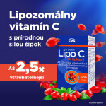 GS Vitamín lipo C 500 mg so šípkami 90 + 10 kapsúl