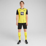 Puma Borussia Dortmund Home Replica M 774946 01 pánske tričko L (183 cm)
