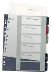 Leitz Style A4+ Maxi 1-6 / Registre do zakladača / popisovateľné na PC / PP / viacfarebné (12360000)