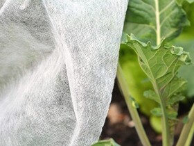 Netkaná zakrývacia textília proti mrazu biela – Agrospeed N 17 g/m² 1,6×100 m [160 m²]