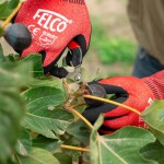 Zberacie nožnice FELCO 320