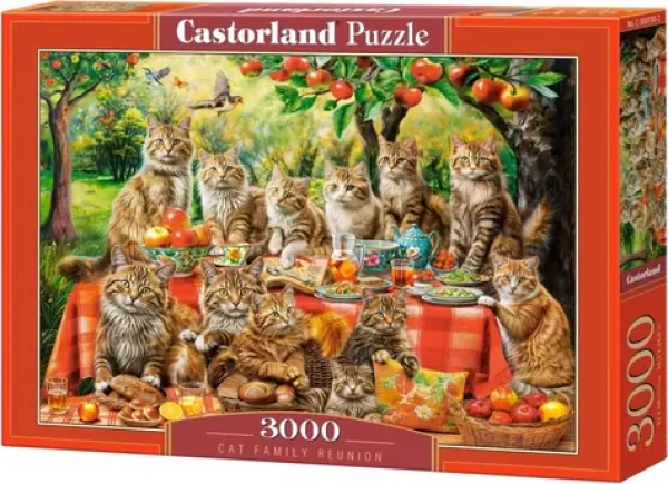 Castorland 300730-2 Puzzle Stretnutie mačacej rodiny