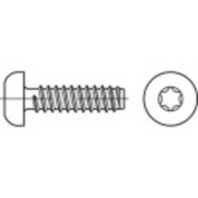 TOOLCRAFT TO-5441196 skrutka do plechu 100 mm vnútorná korunka šesťhranná ocel glavanizované zinkom 250 ks; TO-5441196