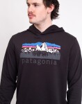 Patagonia M's Fitz Roy Foothills Daily Hoody Black S