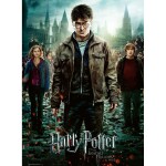 Ravensburger - Puzzle - Harry Potter spolu v boji