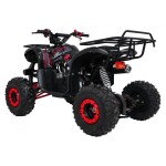 Mamido Detská benzínová štvorkolka RamiGO WILDPEAK 110CC čierno-červená
