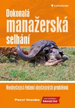 Dokonalá manažerská selhání, Vosoba Pavel