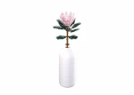 Sluban Flowers M38-B1101-03 Protea veľká vo váze