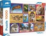 Trefl - Puzzle - Animal Planet: Divoká príroda