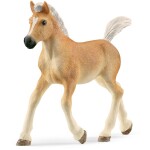 Schleich Horse Club 13951 Haflingerské žriebä