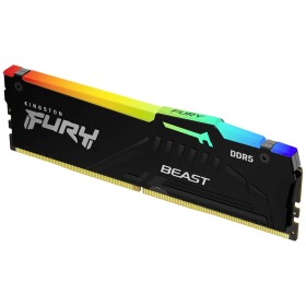 Kingston Fury Beast RGB DDR5 CL30 DIMM ECC EXPO (KF560C30BBEA-16)