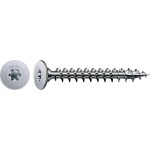 SPAX 0151010350303 skrutka s pologuľatou hlavou 3.5 mm 30 mm T-STAR plus ocel 300 ks; 0151010350303