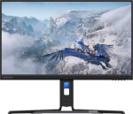 Lenovo Legion R24e (67CCGAC4EU)