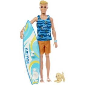 Mattel HPT50 Barbie Ken surfer s doplnkami