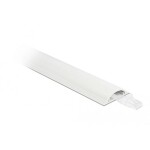 Delock Káblová lišta PVC biela (d x š x v) 1 m x 70 mm x 20 mm 1 ks 20706; 20706