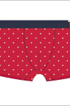 PÁNSKE BOXERKY VALENTINE MIX L