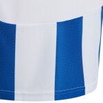 Tričko adidas Striped 24 Jr IW2134 164CM