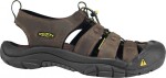 Keen Newport bison