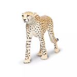 Safari Ltd. Safari Ltd. Gepard