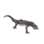 Mojo Animal Planet Varan obrovský