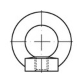 TOOLCRAFT TO-5381595 závesné oká M16 DIN 582 ocel pozinkované žiarom 10 ks; TO-5381595