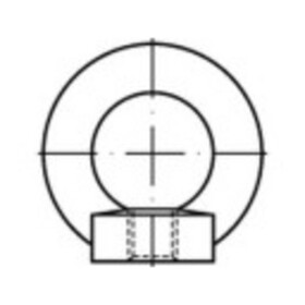 TOOLCRAFT TO-9981876 závesné oká M24 DIN 582 ocel pozinkované žiarom 10 ks; TO-9981876