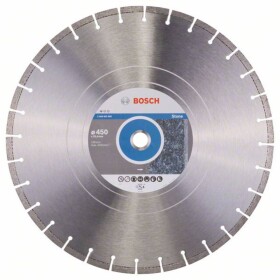 Bosch Accessories 2608602605 Bosch diamantový rezný kotúč Priemer 450 mm 1 ks; 2608602605