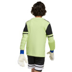 Adidas Squadra 25 Juniorské brankárske tričko s dlhým rukávom JJ1940 164 cm