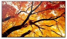 50" Sharp M502 čierna / VA / 3840 x 2160 / 16:9 / 8 ms / 8000:1 / 550cd-m2 / VESA (60006054)