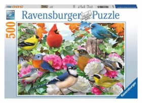 Ravensburger Vtáky na záhrade
