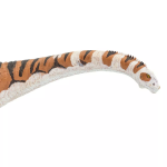 Safari Ltd. Safari Ltd. Figúrka - Malawisaurus