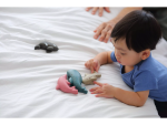 PlanToys PlanToys Kosatka