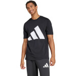 Adidas Essentials Big Logo Single Jersey Tee M JE8945 muži M