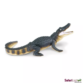Safari Ltd. Safari Ltd. Aligátor