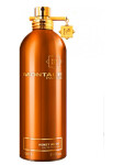 Montale Honey Aoud - EDP 100 ml