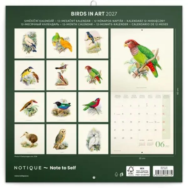 NOTIQUE Poznámkový kalendár Vtáčiky 2027 / Kalendár / 30 × 30 cm / Plastic Free