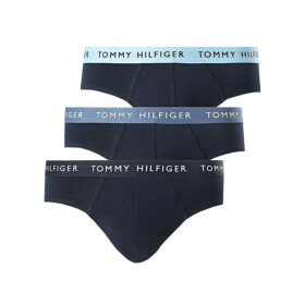 Tommy Hilfiger Wb Brief M UM0UM02389 S