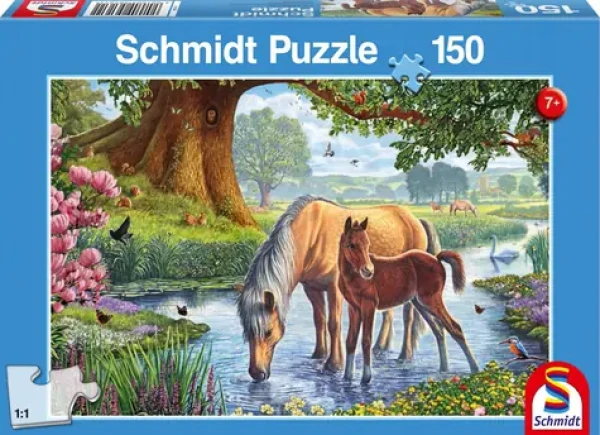 Schmidt Puzzle Kone v rieke
