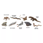 Safari Ltd. Safari Ltd. Tuba - Jedovaté zvieratá