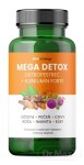 MOVIT Mega detox ostropestrec + kurkumín forte 60 kapsúl